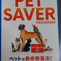 画像1370